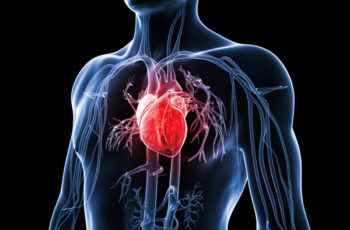 O Que Causa Doença Cardíaca? Parte 1