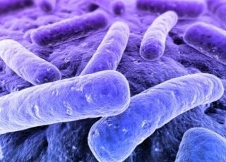 O Microbioma Intestinal Tem um Papel Nas Doenças Autoimunes?