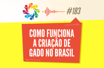 Tribo Forte #183 – Como Funciona a Criação de Gado no Brasil (Com a Zootecnista Anna Flavia)
